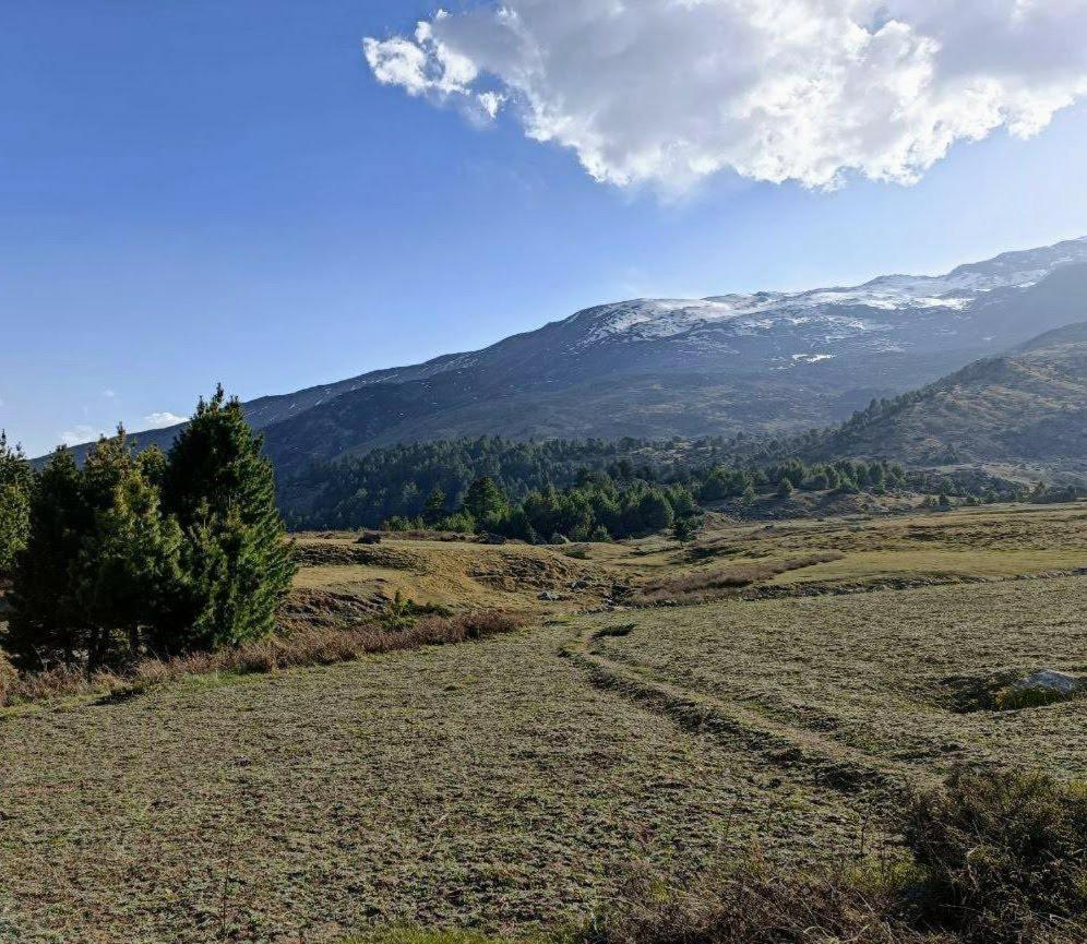 קאלפה Fayul Retreat - India Highest Glamp And Ecoluxury Stay מראה חיצוני תמונה